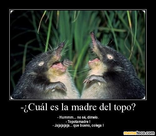 Desmotivaciones Graciosas